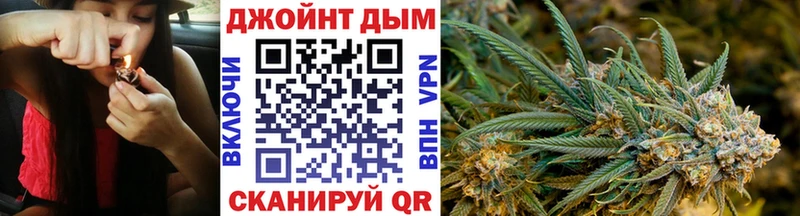 Бошки Шишки план Курганинск